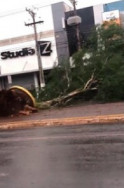 Tempestade causa estragos no centro e bairros de Dourados