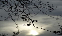 Domingo terá variação de sol e pancadas de chuva Mato Grosso do Sul
