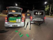 Homem é preso com carga de maconha e skunk em Iguatemi