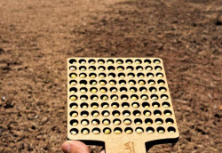 Colheita da soja alcança 6,2% e plantio do milho atinge 5,8% em MS