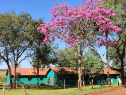 Justiça manda reabrir ação de improbidade administrativa envolvendo o Instituto Agrícola do Menor