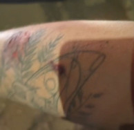 Motorista de aplicativo e passageira vão parar na delegacia após desacordo sobre corrida