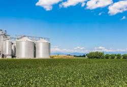 Painel disponibiliza dados de armazenagem por município em Mato Grosso do Sul