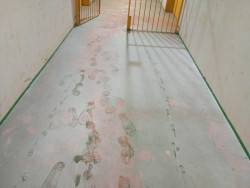 Douradão é alvo de vândados que danificam extintores e deixam rastros de destruição