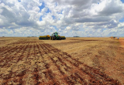 Previsão indica chuvas irregulares e temperaturas acima da média de março a maio