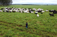 Com maior crescimento do país, agro de MS é fruto de incentivo e modernidade