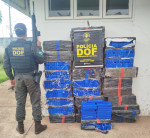 DOF apreende quase meia tonelada de maconha em Mundo Novo