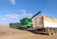 Crédito rural cai 46% em MS e produtor prioriza manter a lavoura