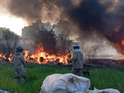 Faísca de serralheria causa incêndio em área de vegetação no Jardim Clímax