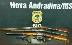 Polícia esclarece furto de gado em fazenda e apreende armas