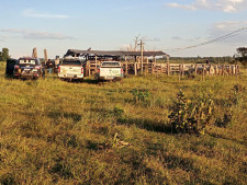 Pai e filho são presos 2 vezes em 48 horas por receptação de bovinos em MS