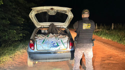 DOF apreende 600 quilos de agrotóxicos após condutor abandonar veículo