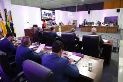 Câmara analisa projeto que reconhece trabalho de protetores de animais em Dourados