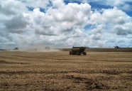 Aprosoja Brasil expressa preocupação com gravidade no fornecimento de diesel