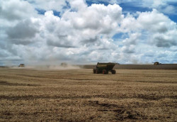 Aprosoja Brasil expressa preocupação com gravidade no fornecimento de diesel