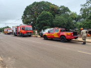 Veja o vídeo: jovem sobe em árvore para fugir da polícia e precisa ser resgatado pelo Bombeiro