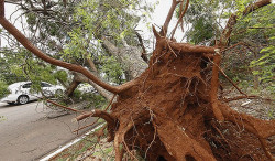 Saiba o que fazer para prevenir problemas durante e após temporais