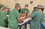 Hospital Regional de Três Lagoas realiza 1ª cirurgia para tratar Parkinson em MS
