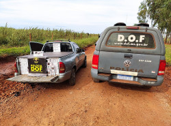 Veículo que seguia para Amambai com mais de mil pacotes de cigarros foi apreendido