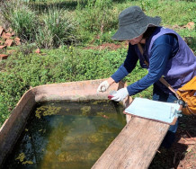 Dourados confirma 4ª morte por chikungunya nas aldeias; doença avança