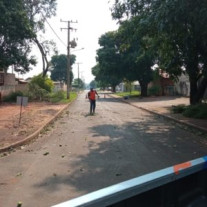 Chuva derruba 15 árvores em Dourados
