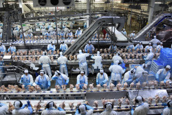 Exportações de industrializados de MS alcançou US$ 646,4 milhões em fevereiro