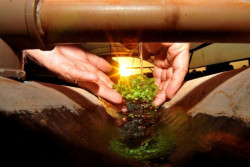 Produtores do MS utilizam técnicas sustentáveis para preservar a água das propriedades