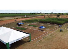 Jornada técnica na Expocanas destaca diversificação em solos arenosos