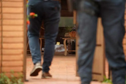 Juiz decreta prisão preventiva do ex-prefeito Alcides Bernal por homicídio qualificado