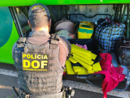 Jovem é presa em cidade de MS levando maconha para Porto Alegre