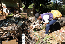 Força-tarefa amplia combate à chikungunya com armadilhas e mutirão em bairros críticos