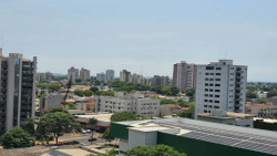 Avaliação internacional coloca Dourados entre as 50 cidades mais arborizadas do Brasil