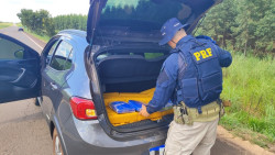 PRF apreende 169 quilos de maconha em Água Clara