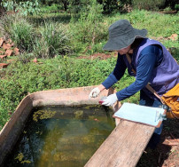 Marçal Filho cria Centro de Operações para enfrentar epidemia de chikungunya