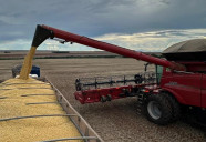 Crédito rural em MS soma R$ 1,1 bilhão em março e revela cautela do produtor