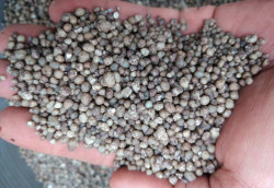 Importação de fertilizantes recua mais de 57% em Mato Grosso do Sul