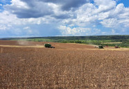 Após revisão, produtividade da soja passa de 52,8 para 61,7 sacas por hectare