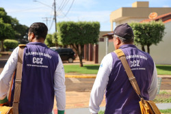 Na guerra contra a chikungunya, prefeitura abre processo seletivo para agentes de endemias