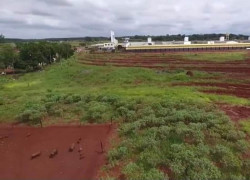Após dois anos, Agepen inocenta diretor envolvido no escândalo dos porcos
