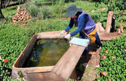 Força-tarefa vistoria 322 moradias em apenas um dia nas aldeias de Dourados