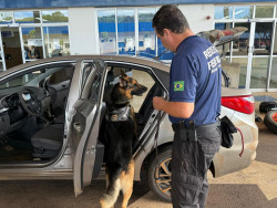 Operação da Receita Federal apreende mercadorias irregulares na divisa com PR