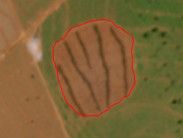 Dano ambiental no Cerrado vira alvo do MP e gera multas acima de R$ 100 mil