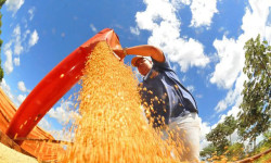 Atividade econômica brasileira cresce 0,6% em fevereiro