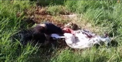 Homem é encontrado morto em região de fronteira e caso mobiliza polícia