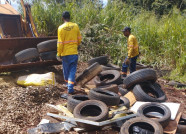 Prefeitura faz ação emergencial contra chikungunya no Jardim Carisma