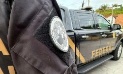 Polícia Federal apreende 2 toneladas de maconha prensada no Paraná