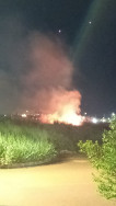 Raio cai em área de vegetação e provoca incêndio em Dourados