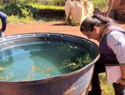 Dourados soma 7,6 mil notificações de chikungunya, detalha boletim