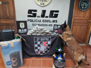 Após apreensão e investigação, polícia cumpre mandados contra o tráfico em Dourados