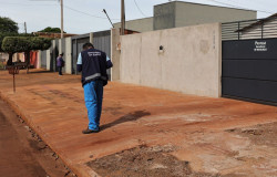 Agentes vistoriam mais 1.298 imóveis e encontram 11 focos de chikungunya